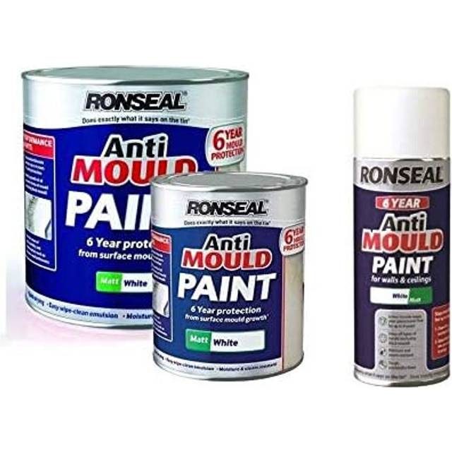 Ronseal 6 Year Anti Mould Paint Matt White 750Ml