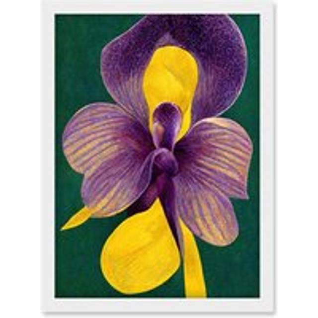 Bold Orchid Purple & Yellow On Green Artwork Framed Wall Art Print A4 - White - One Size