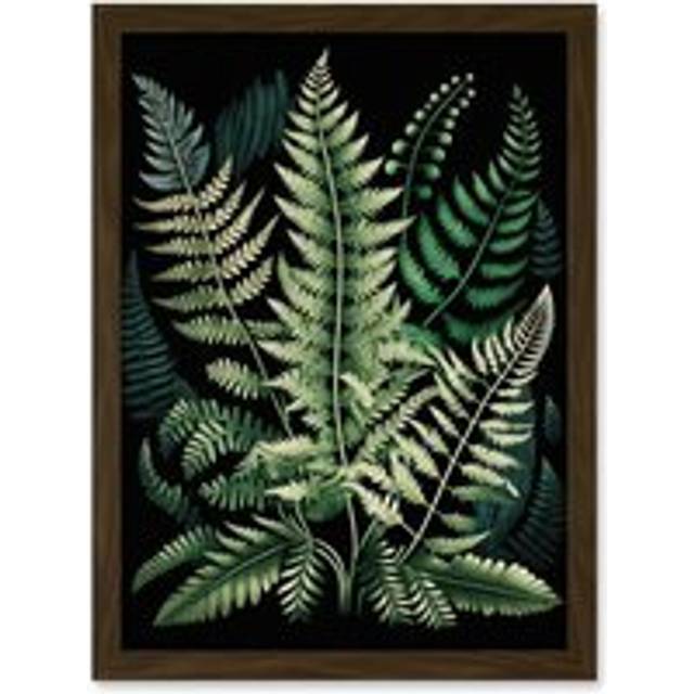 Different Fern Fronds Detailed Leaves Illustration Artwork Framed Wall Art Print A4 - Brown - One Size