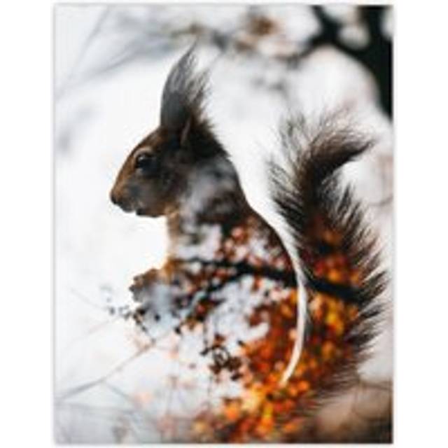Wall Art Print Squirrel Lover Autumn Photo Woodland Animal Poster - Grey - W18 inch x H24 inch