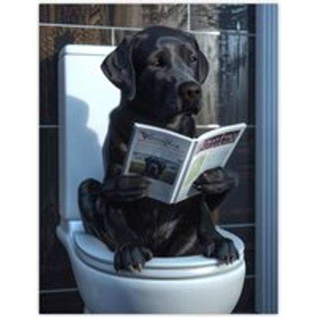 Wall Art Print Dog Lover Funny Black Labrador Reading on Toilet Poster - Grey - W24 inch x H32 inch