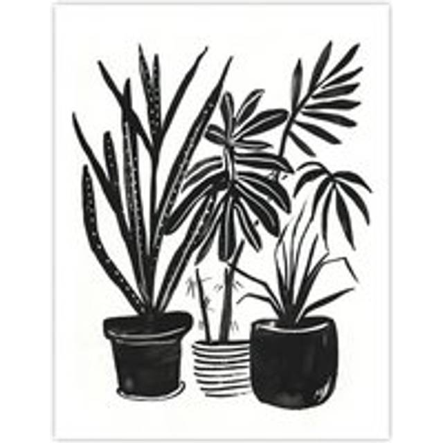 Plant Lover Houseplant Pots Black Watercolour Wall Art Print - W12 inch x H16 inch