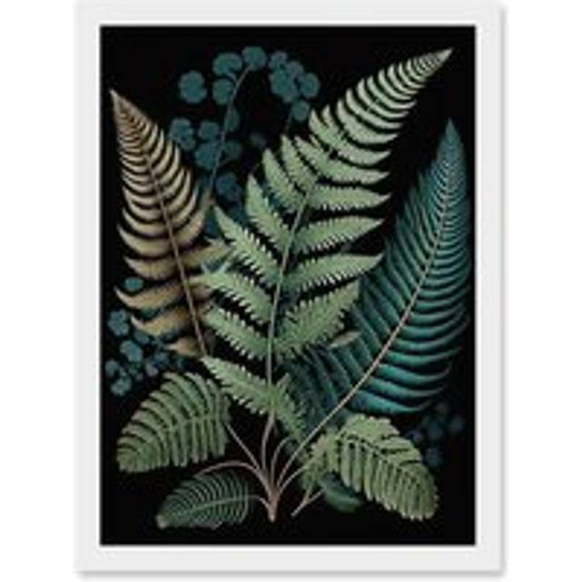 Detailed Leaves Fern Fronds Botanical Illustration Artwork Framed Wall Art Print A4 - White - One Size