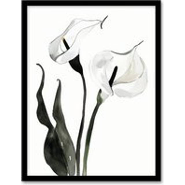 Calla Lily Flower Black White Watercolour Lilies Framed Art Print - A4