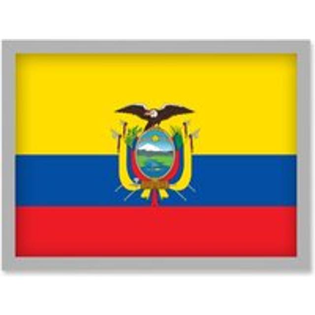 Ecuador National Flag Vexillology World Flags Country Region Poster Artwork Framed Wall Art Print A4 - Grey - One Size