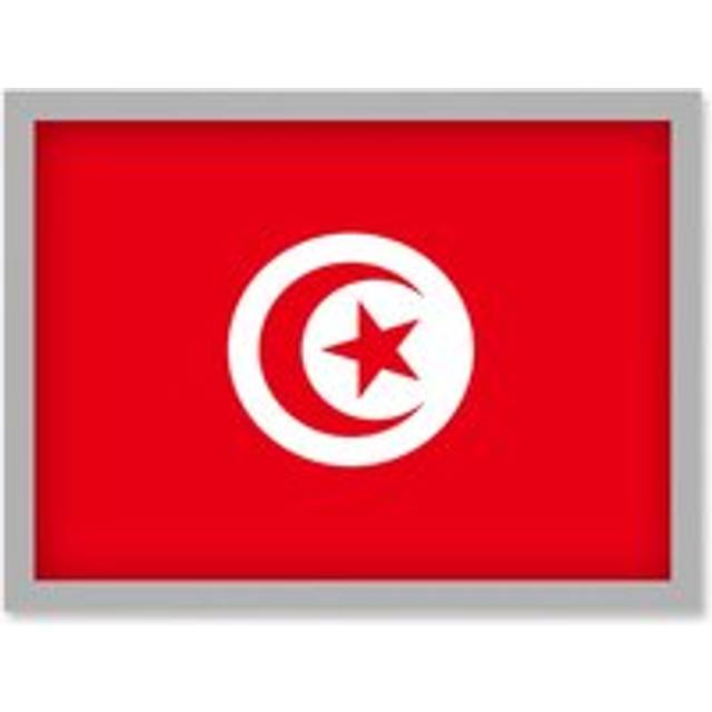 Tunisia National Flag Vexillology World Flags Country Region Poster Artwork Framed Wall Art Print A4 - Grey - One Size