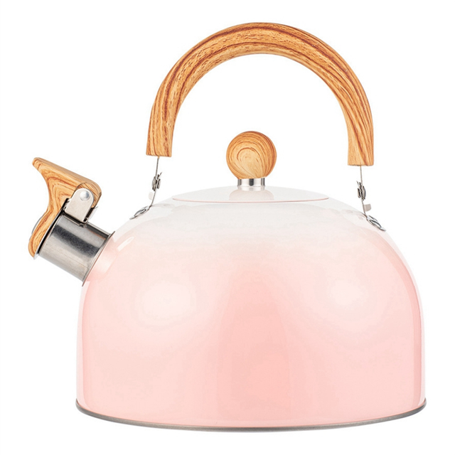 Whistle Teapot, Stainless Steel Teapot, Fast Boiling, Cool Handle,
