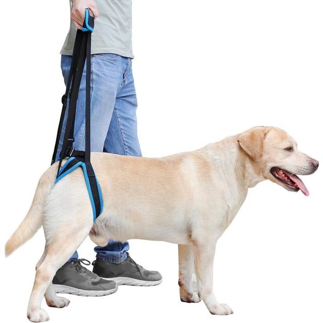 Dog Lift Harness Portable Lifting Sling Support Strap Help Dogs