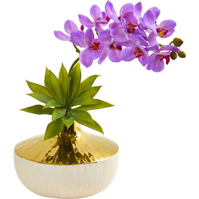 Phalaenopsis Orchid and Agave Artificial Arrangement in Vase