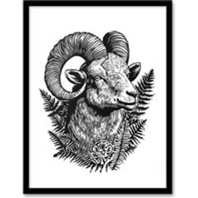 Ram Sheep Fern Fronds Flower Black White Folk Art Framed Art Print - W12 inch x H16 inch