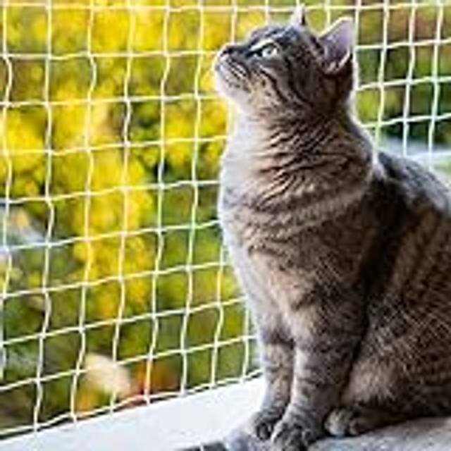 EN AyuL Kattnät för balkong katt säkerhetsnät, anti-rymning husdjur säkerhetsstaket katt skyddsnät, katt fönsterskydd anti-fall balkongnät (1 x 5 m)