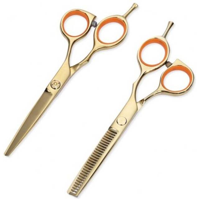 (Standard, 2) 2Pcs 5.5 Inch 440C Titanium Hairdressing Scissors Shears Kit Barber Thinning Cutting Set Golden