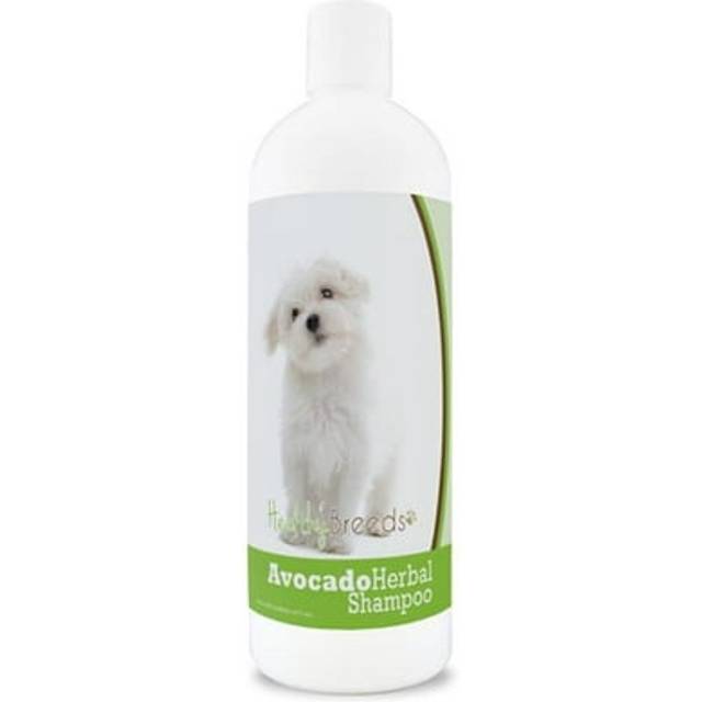 Healthy Breeds 840235156437 Maltese Avocado Herbal Dog Shampoo
