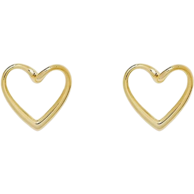 SHEIN Heart Design Stud Earrings