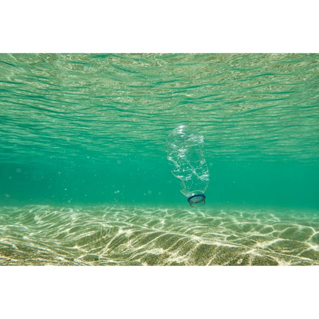 Ocean pollution, Single use Plastic water bottle in the sea. - Green (20cm H x 30cm W)