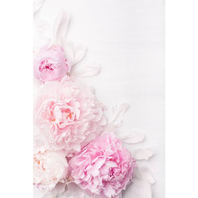 Madisonburg Beautiful Pink Peonies - Wrapped Canvas Photograph (122cm H x 81cm W x 3.8cm D)