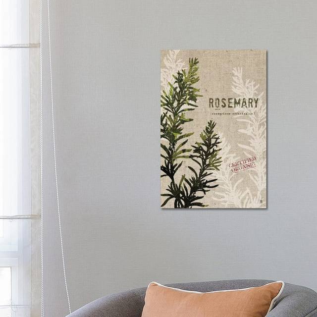 Organic Rosemary, No Butterfly by Studio Mousseau - Wrapped Canvas Art Prints (66.04cm H x 45.72cm W)