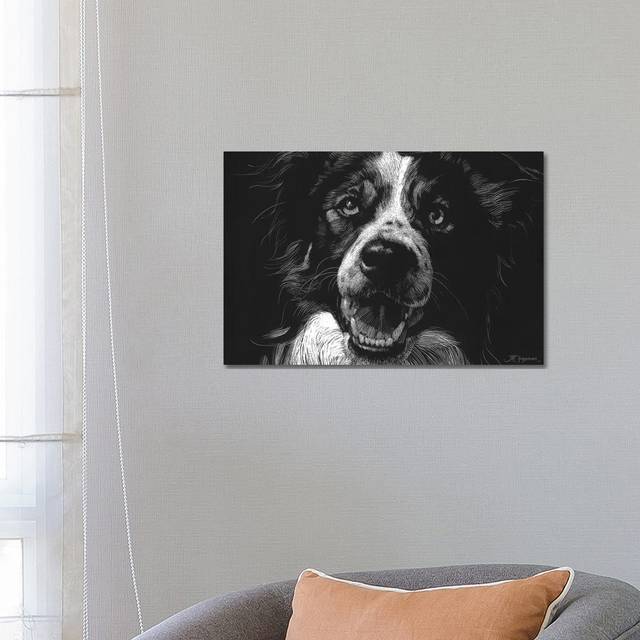 Canine Scratchboard XVIII by Julie T. Chapman - Wrapped Canvas Art Prints (66.04 cm H x 45.72 cm W)