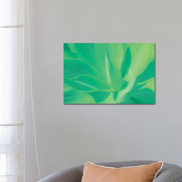Aloe Vera Plant by Beli - Wrapped Canvas Graphic Art (66.04 cm H x 45.72 cm W x 3.175 cm D)