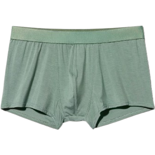 CDLP - Boxer Trunk - Sage