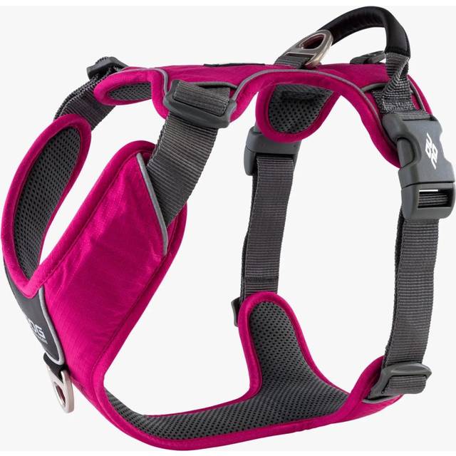 Comfort Walk Pro Harness Ny 2020 - Wild Rose - pink