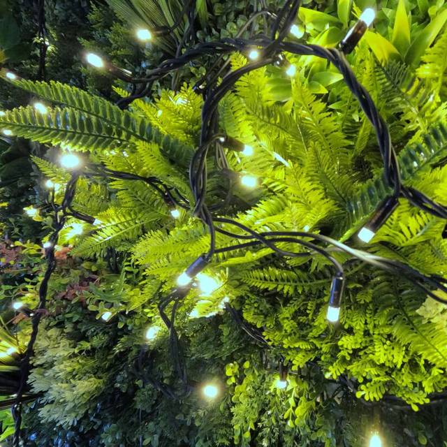 Pro Link Connectable Outdoor LED Fairy String Lights - 30M / Bright White (6000K)