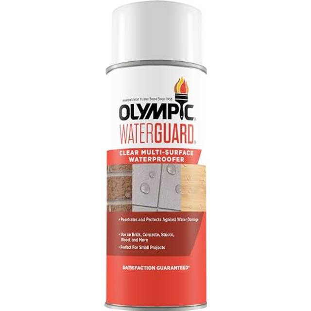 Olympic WaterGuard 11 oz. Clear Multisurface Exterior Waterproofing Sealer Spray