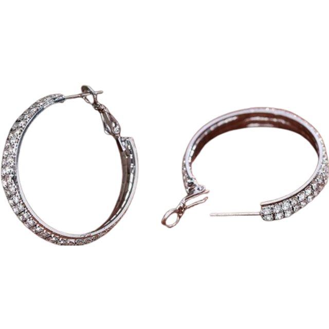 SHEIN 1pair Silver Double Row Cubic Zirconia Hoop Earrings