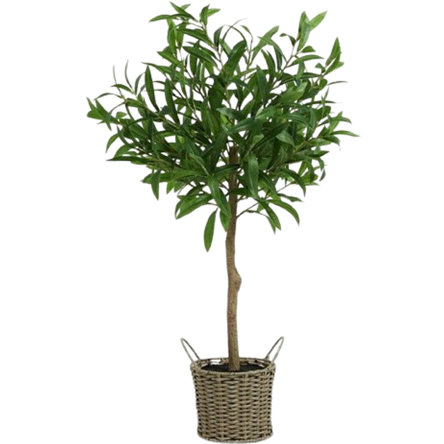 John Lewis Artificial Olive Tree in Wicker Basket, Natural/Green