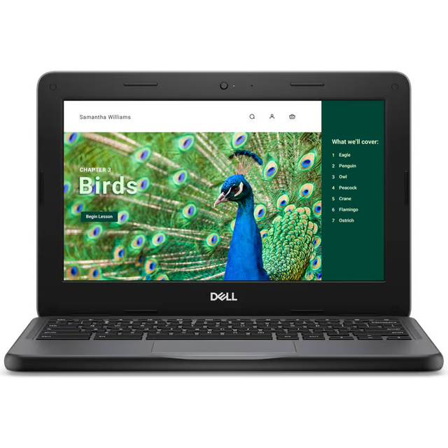 Dell Chromebook 3120 11.4" N100 - 4RGB RAM - 64GB
