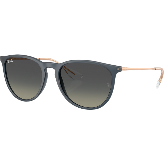 Ray-Ban Erika - RB4171 681311 5418