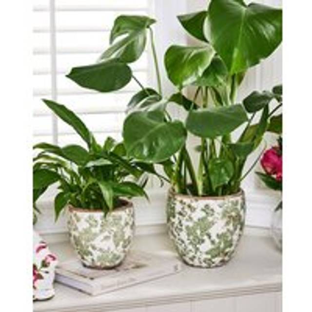 Set of 2 Vintage Small & Large Ceramic Indoor Outdoor Planter - Green