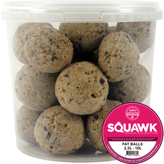 SQUAWK Suet Fat Balls (Litre Tubs) Size: 10L Tub