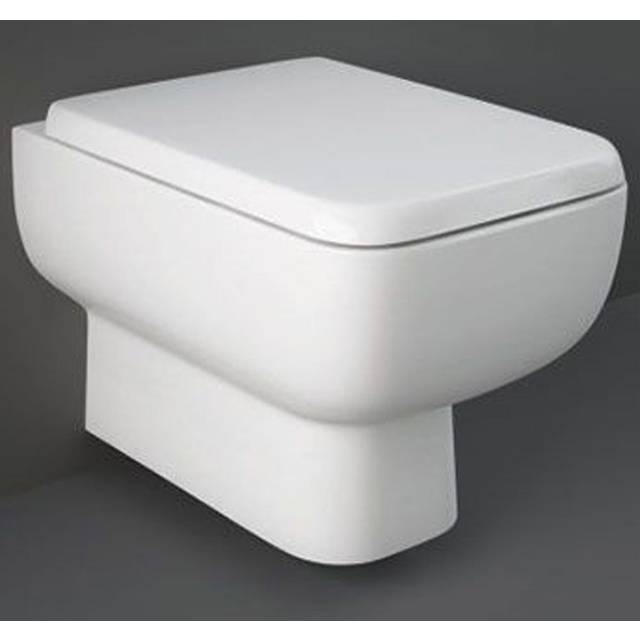 RAK Series 600 Alpine White Rimless Back To Wall Hung Toilet Pan - SE1