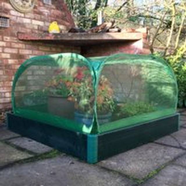 Gardenskill - Allotmenteer Raised Bed & Fruit Cage Combi Kit - Small