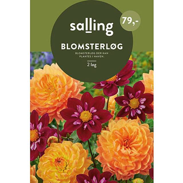 Salling Blomsterløg 2 Stk Blomsterfrø