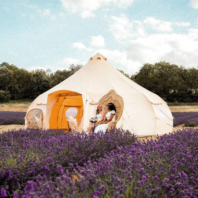 Luna Bell Tent 7m / Polycotton Lite 200gsm