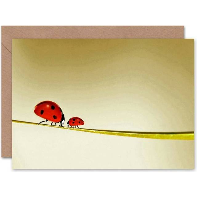 Birthday ladybirds ladybugs blank greeting card with envelope