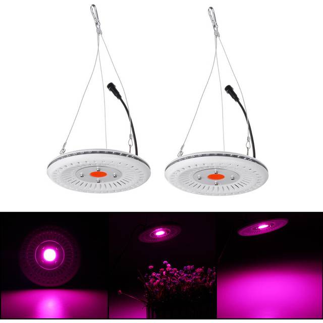 (US Plug) 50W COB LED Round Full Spectrum Light Waterproof IP64 Flood Light Plant Flower Indoor Hydroponic Greenhouse Grow Light