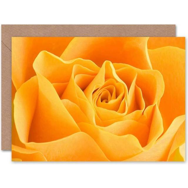 Birthday Nature Photo Flower Yellow Rose Blank Greeting Card With Envelope