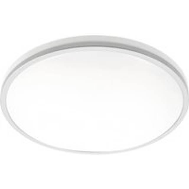 Tula Grey Trim LED Surface Mount Ceiling Light Bulkhead IP44 White Opal 4000k - One Size
