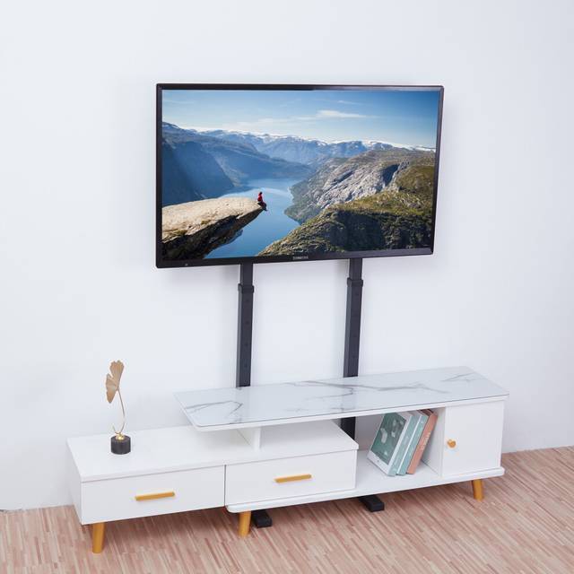Floor Standing TV Mount Bracket Height Adjustable for 32-65 inch TV