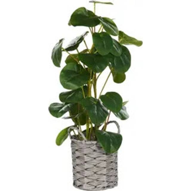 Beliani - Artificial Potted Plant Pilea Pancake Plant Indoor Use Plastic Decoration 55 cm Kibeti