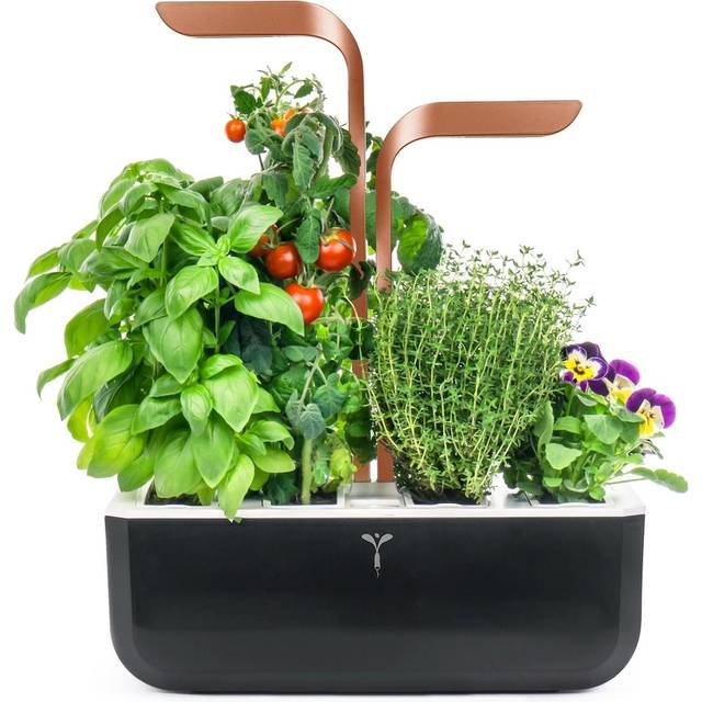 Veritable Inomhusträdgård SMART Copper Svart, Koppar 330 mm 230 V 2 l Justerbar i höjdled, Vattennivåvarning 1 st