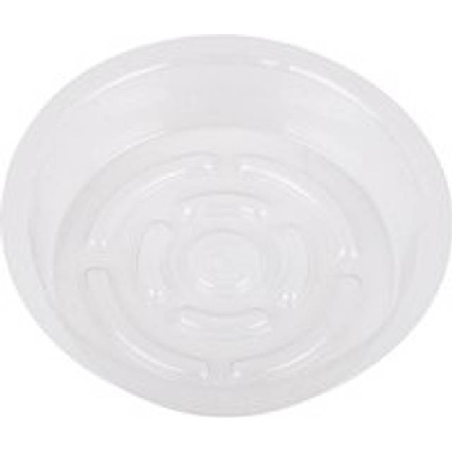 Alwaysh - Set of 5 Transparent Flower Pot Saucers in Durable Plastic, Round Shape for Indoor or Outdoor Use (ø 16 cm)