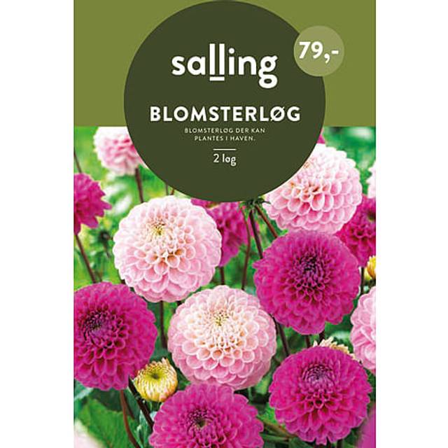 Salling Blomsterløg 2 Stk Blomsterfrø