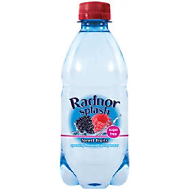 Radnor Hills Splash Sparkling Spring Water Forest Fruit 24 Bottles of 330 ml