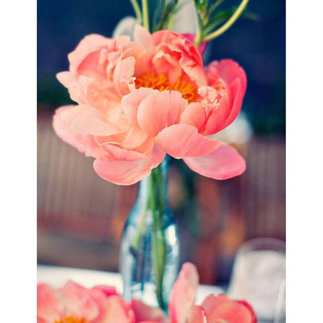 5D Diamond Painting Flower Pink Roses Mosaic DIY Diamond Embroidery Cross Stitch 20X30CM