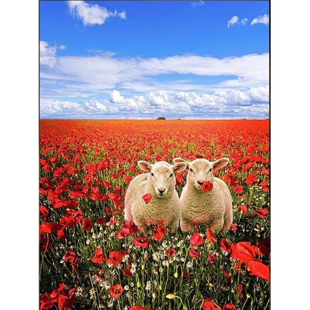 Diamond Mosaic animal sheep Picture flowers DIY Diamond Embroidery 5D full Diamond Painting Cross Stitch decor 20X30CM