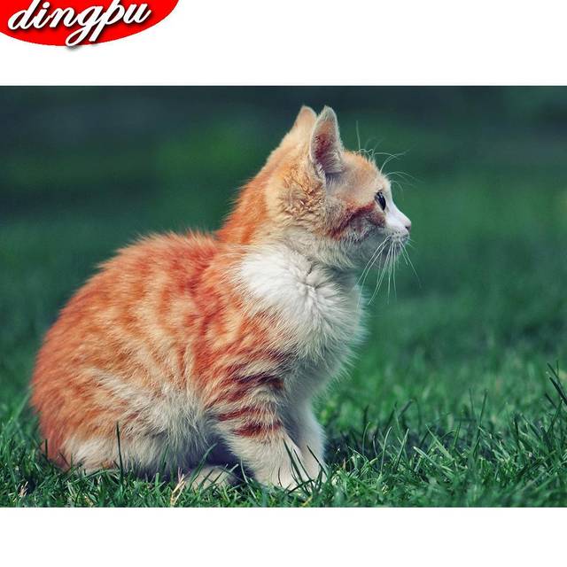 DIY Diamond Mosaic Animal Cat & Butterfly Needlework Full Round Diamond Painting Cross Stitch Diamond Crystal Wall Art 20X30CM